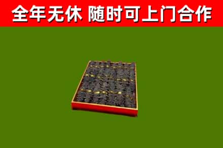 柘城县回收海参